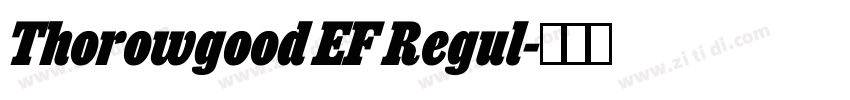 Thorowgood EF Regul字体转换 Thorowgood EF Regul字体转换